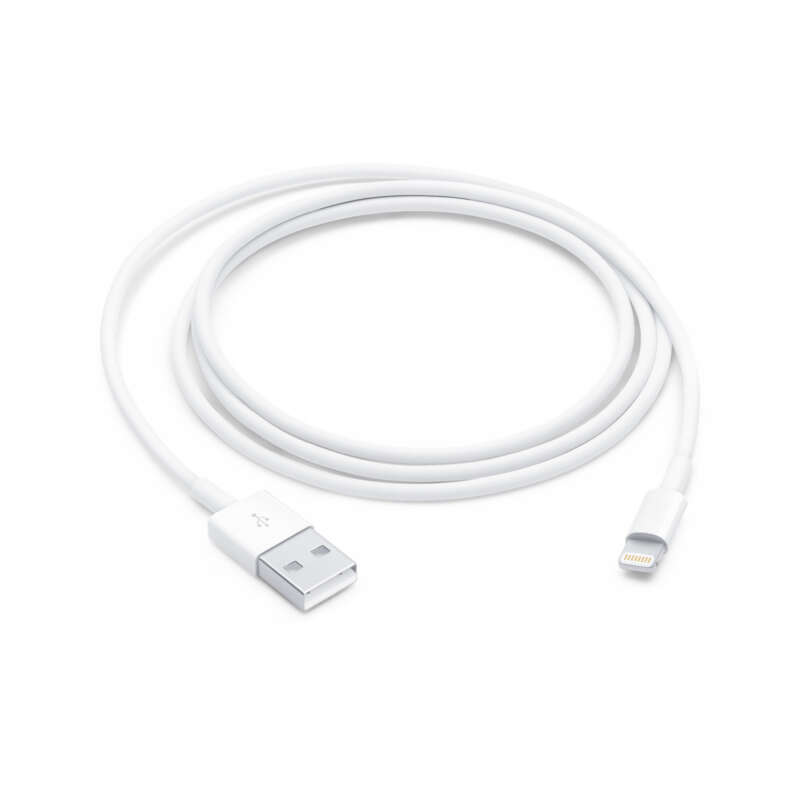 Apple Lightning to USB Cable (1 m)